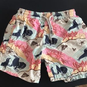 Designer bathing suit for boys!